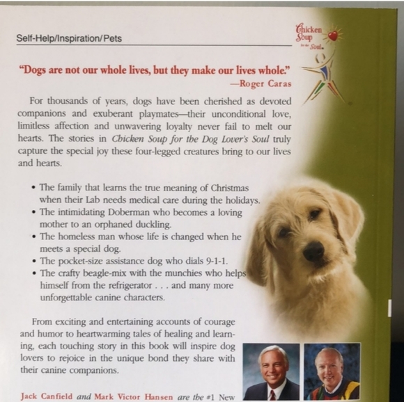 Chicken Soup Book - Picture 5 of 5